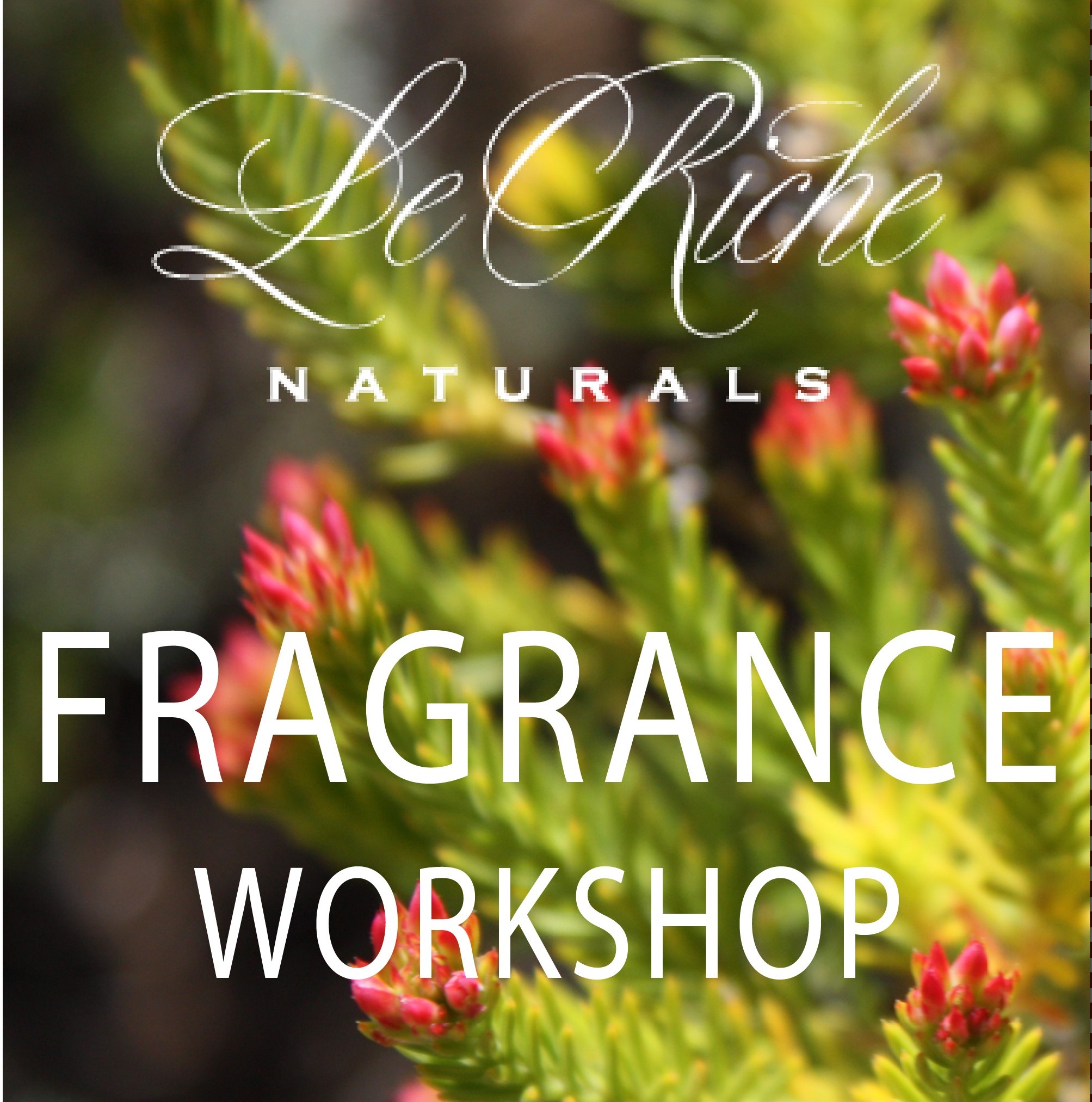 LE RICHE FRAGRANCE